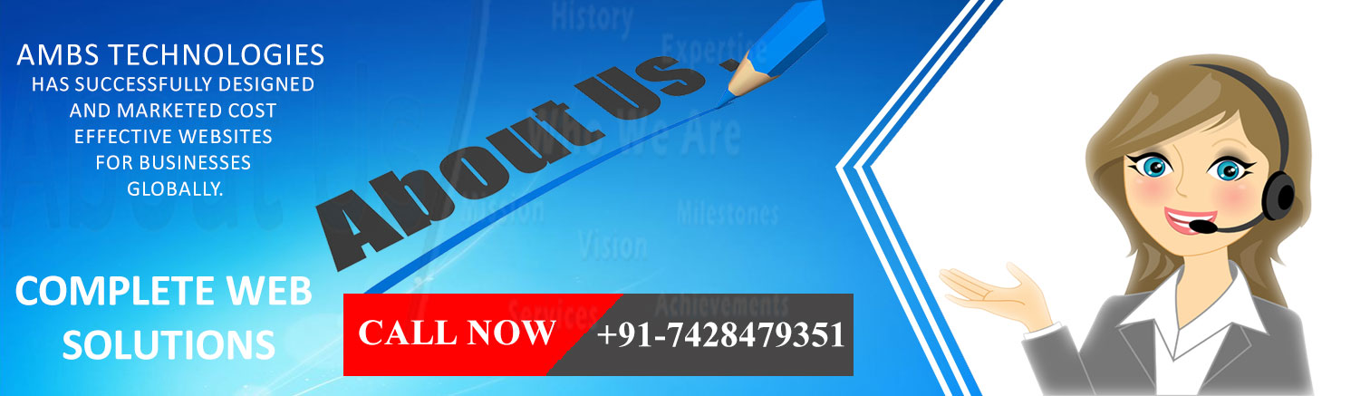 website design company delhi india