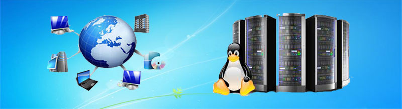 Linux Hosting Services India